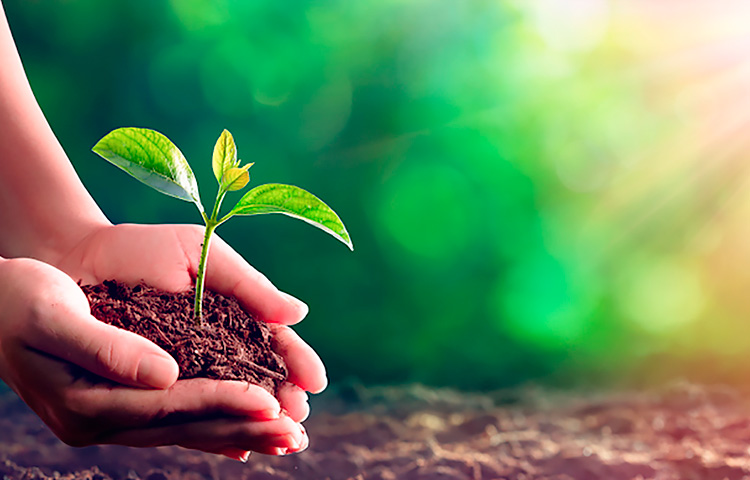 AG�콢�� (�й���½) Apple Store