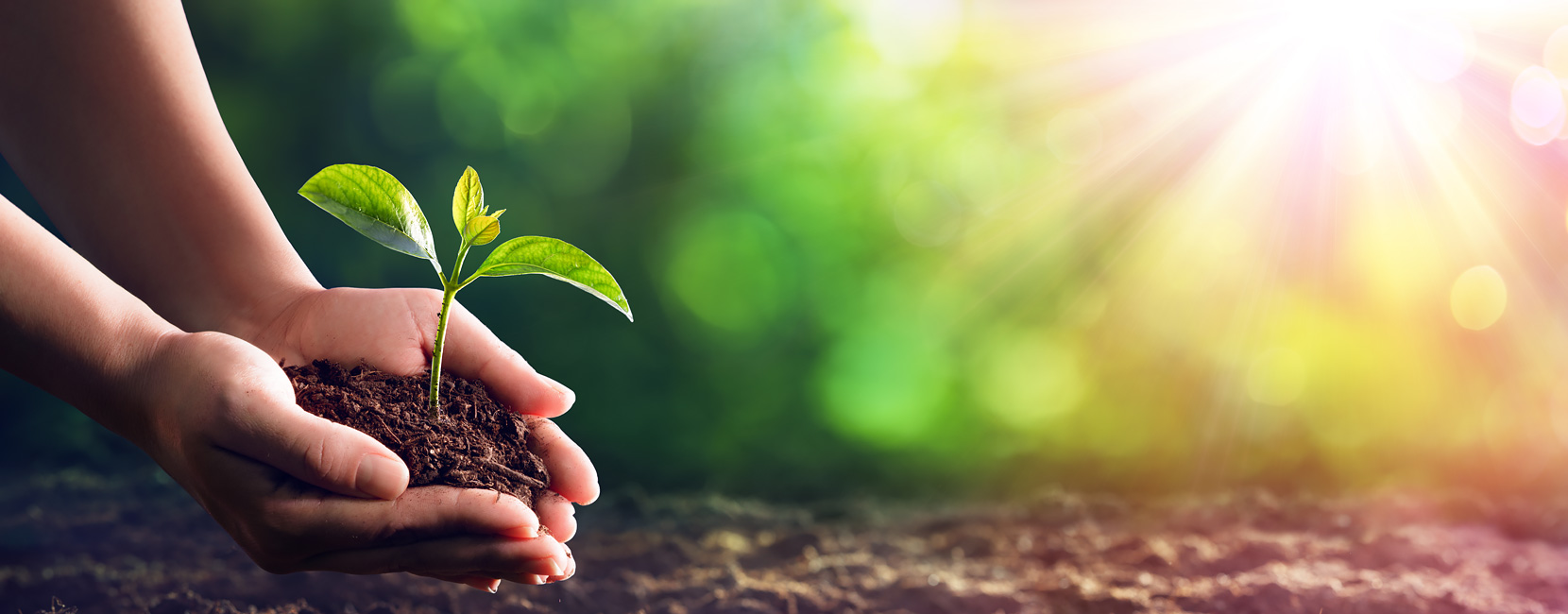 AG�콢�� (�й���½) Apple Store